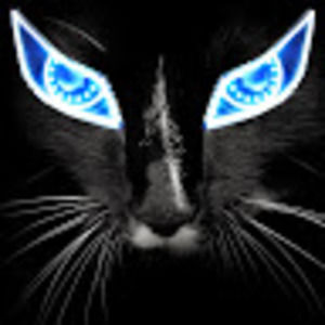 Meet your Posher, Doran